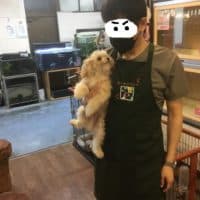 ※お知らせ。ワンコ達のお値段下げました！