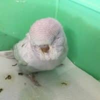 本年もお世話になりました！